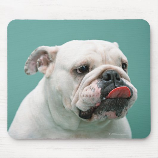 Bulldog Mousepad (Vorne)