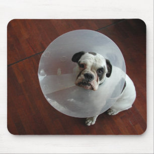 Bulldog Mousepad