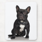 Bulldog Mousepad (Vorne)