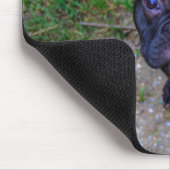 Bulldog Mousepad (Ecke)