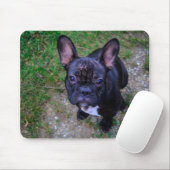 Bulldog Mousepad (Mit Mouse)