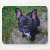 Bulldog Mousepad (Vorne)