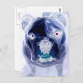 bulldog negative postkarte (Vorne/Hinten)