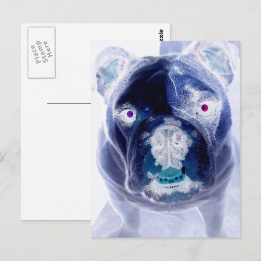 bulldog negative postkarte (Vorne/Hinten)