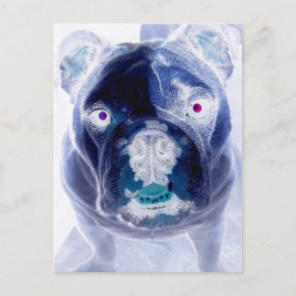 bulldog negative postkarte