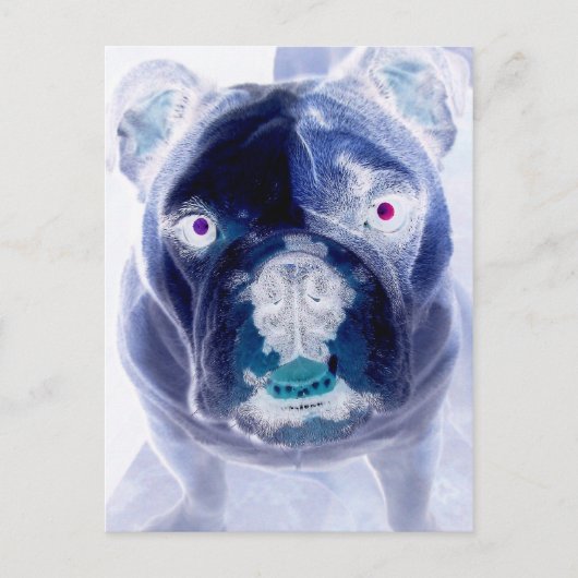 bulldog negative postkarte (Vorderseite)