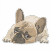 BULLDOG NIEDLICH PUPPY BIG DIE STICKER 4 AUTO (Vorderseite)