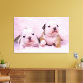 Bulldog; oft als englischer Bulldog bezeichnet. Is Leinwanddruck (Insitu (Wohnzimmer))