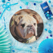 Bulldog Pappteller (Party)