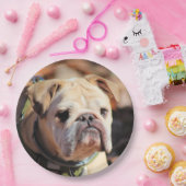 Bulldog Pappteller (Party)