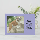 Bulldog-Party Einladungen (Stehend Vorderseite)