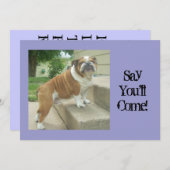 Bulldog-Party Einladungen (Vorne/Hinten)