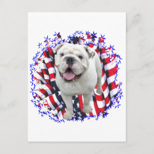 Bulldog Patriot Postkarte