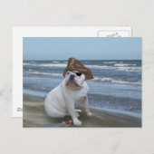 Bulldog-Pirate am Strand Postkarte (Vorne/Hinten)