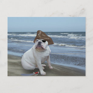 Bulldog-Pirate am Strand Postkarte