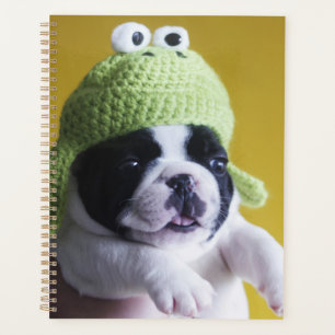 Bulldog Planer