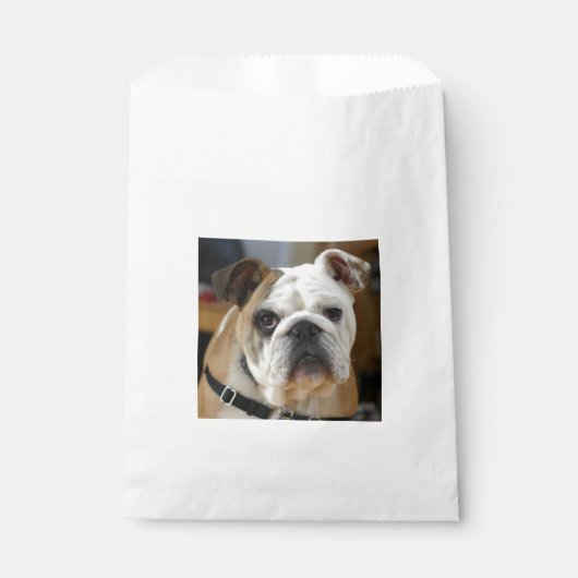 Bulldog.png Geschenktütchen (Vorderseite)