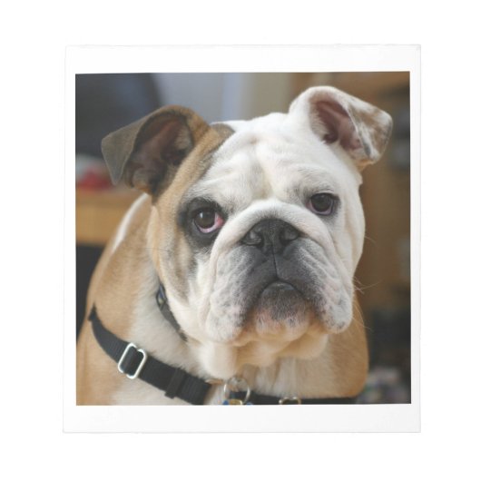 Bulldog.png Notizblock (Vorderseite)