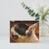 Bulldog.png Postkarte (Stehend Vorderseite)