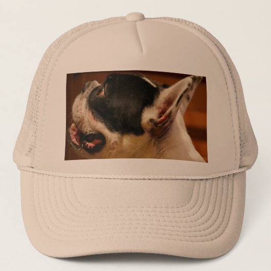 Bulldog.png Truckerkappe (Vorderseite)