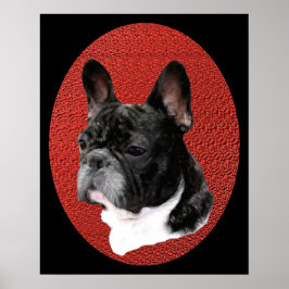 Bulldog-Portrait Poster