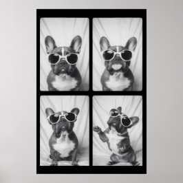 Bulldog-Portrait Poster