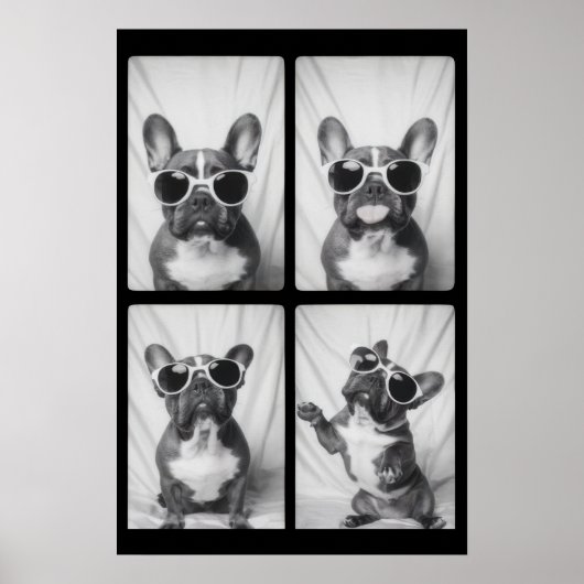 Bulldog-Portrait Poster (Vorne)