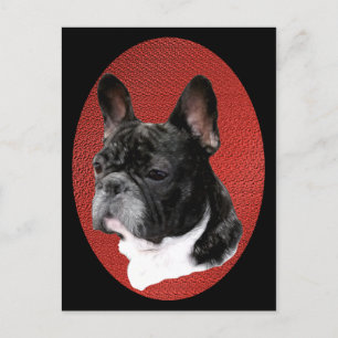 Bulldog-Portrait Postkarte