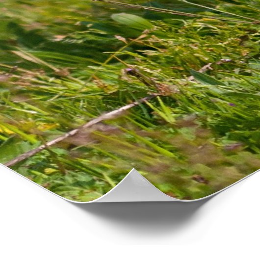 Bulldog Poster (Ecke)