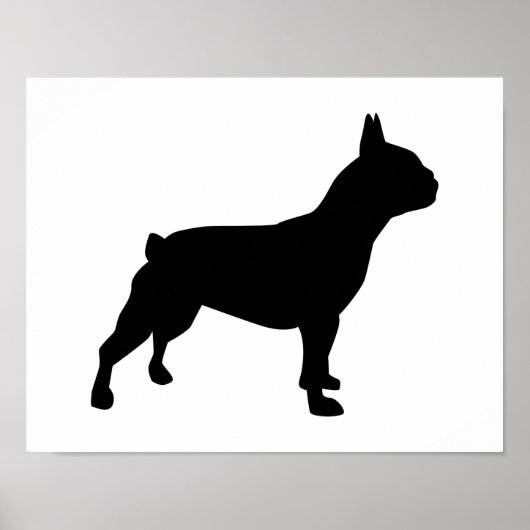 Bulldog Poster (Vorne)