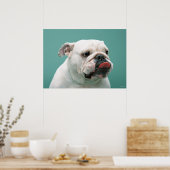 Bulldog Poster (Küche)