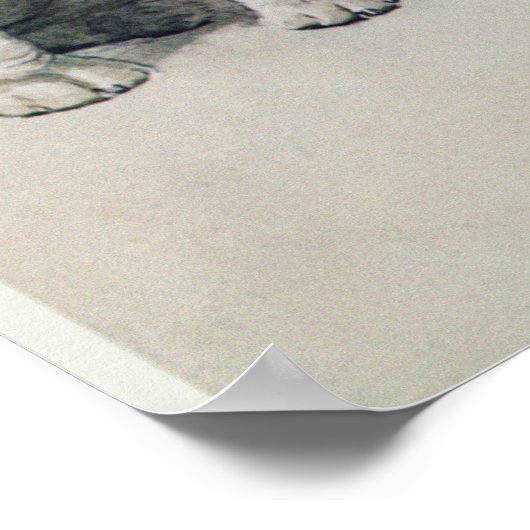 Bulldog Poster (Ecke)