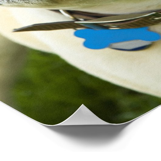 Bulldog Poster (Ecke)