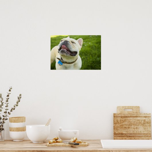 Bulldog Poster (Küche)