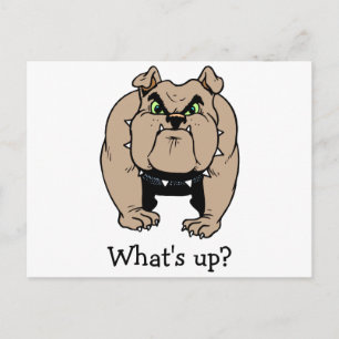 Bulldog Postkarte