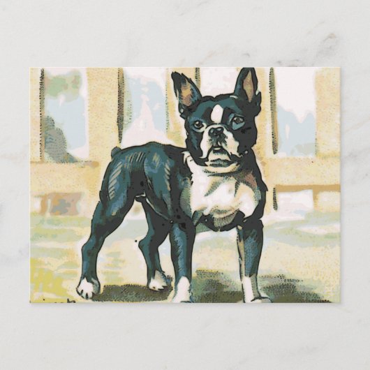 Bulldog Postkarte (Vorderseite)
