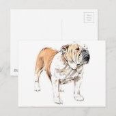 Bulldog Postkarte (Vorne/Hinten)