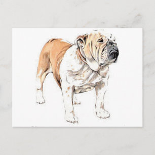 Bulldog Postkarte