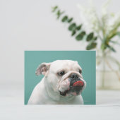 Bulldog Postkarte (Stehend Vorderseite)