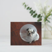 Bulldog Postkarte (Stehend Vorderseite)