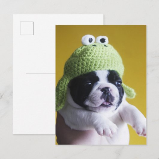 Bulldog Postkarte (Vorne/Hinten)