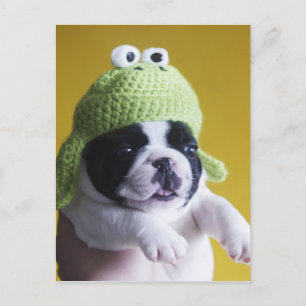 Bulldog Postkarte