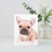 Bulldog Postkarte (Stehend Vorderseite)
