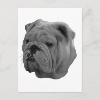 Bulldog Postkarte