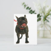 Bulldog Postkarte (Stehend Vorderseite)