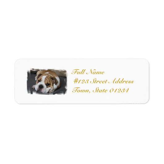 Bulldog-Postmarken (Vorne)