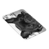 Bulldog Premium Magnet (Rechte Seite)