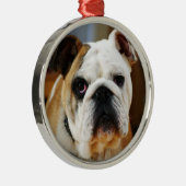 Bulldog Premium Ornament (Rechts)