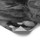 Bulldog Print Poster (Ecke)