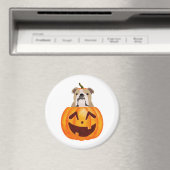 Bulldog Pumpkin Magnet (In Situ (Geschirrspüler))